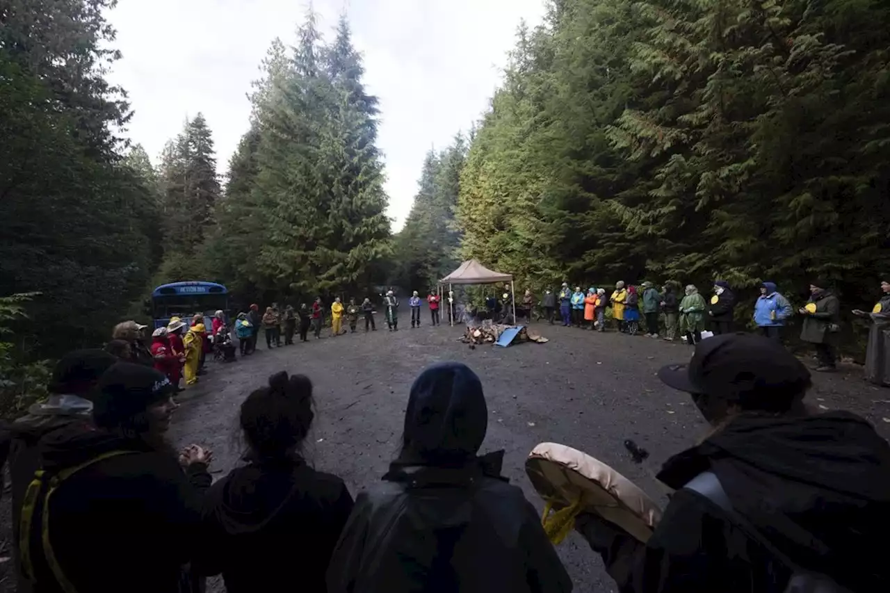 B.C. old-growth protesters celebrate as contempt prosecution has 'collapsed'