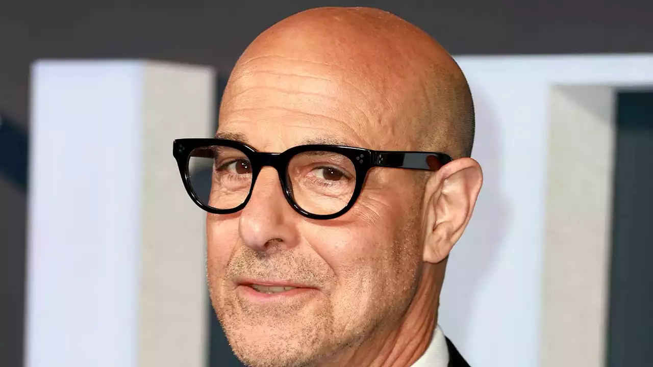 Stanley Tucci Reveals The Role He'd Never Play Again: 'It Was a Tough Experience'