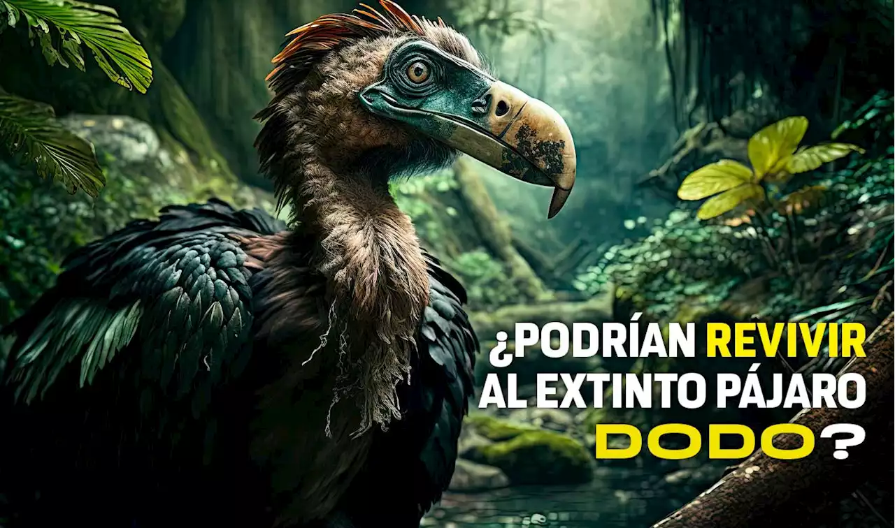 El debate en torno a la ética en la resurrección de especies - UNAM Global