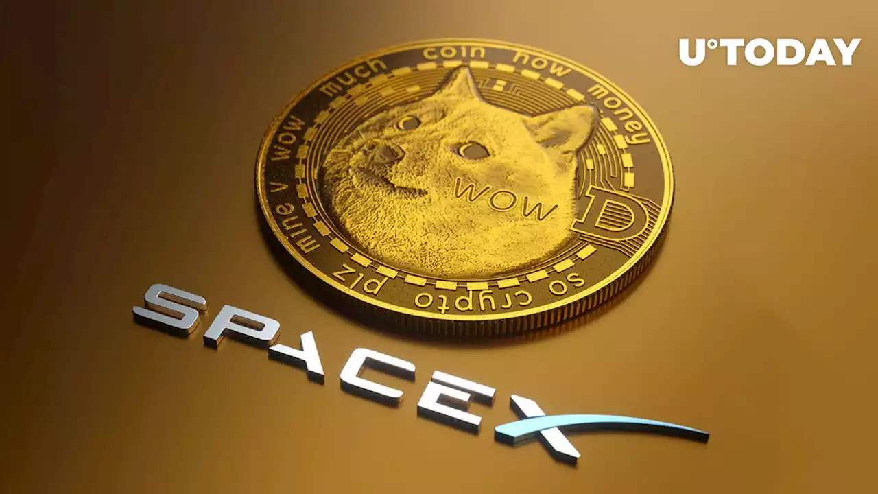 Dogecoin (DOGE) Price Rebounds as SpaceX Confirms: 'Everything Is Good'