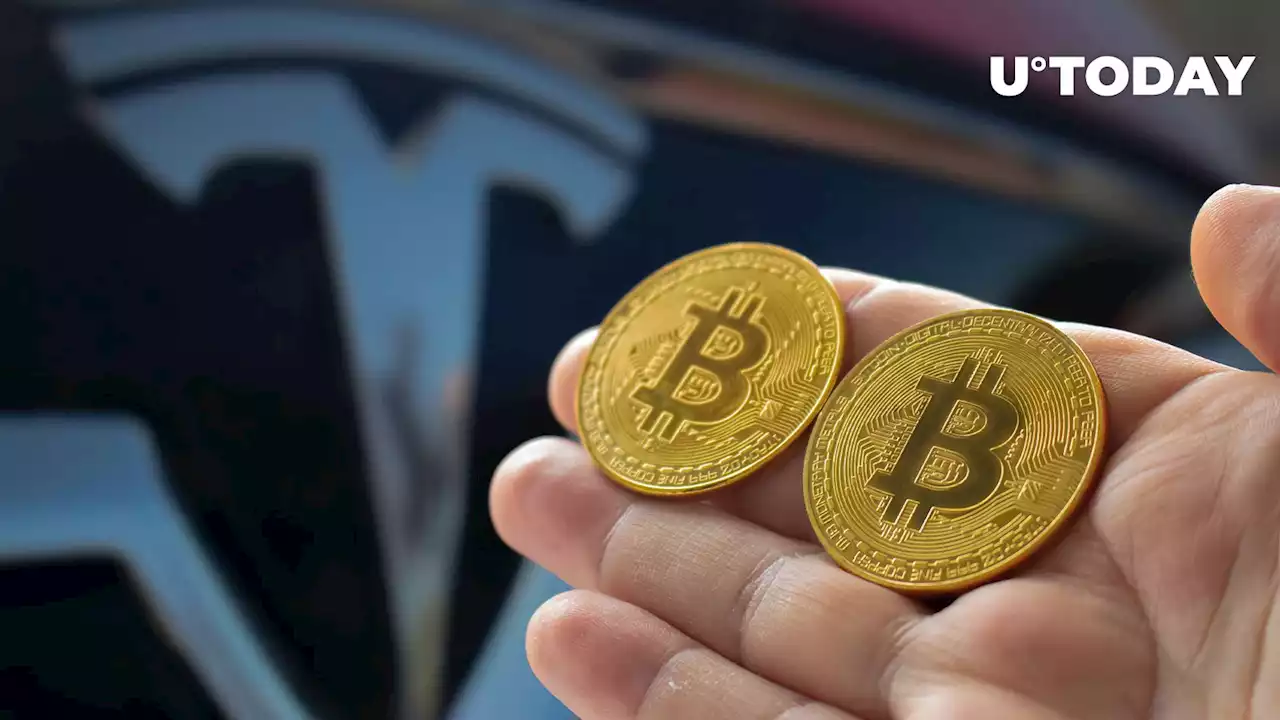 Tesla vs Bitcoin: Hedgeye CEO Highlights 'Tight Race' as Both Crash Over 50%