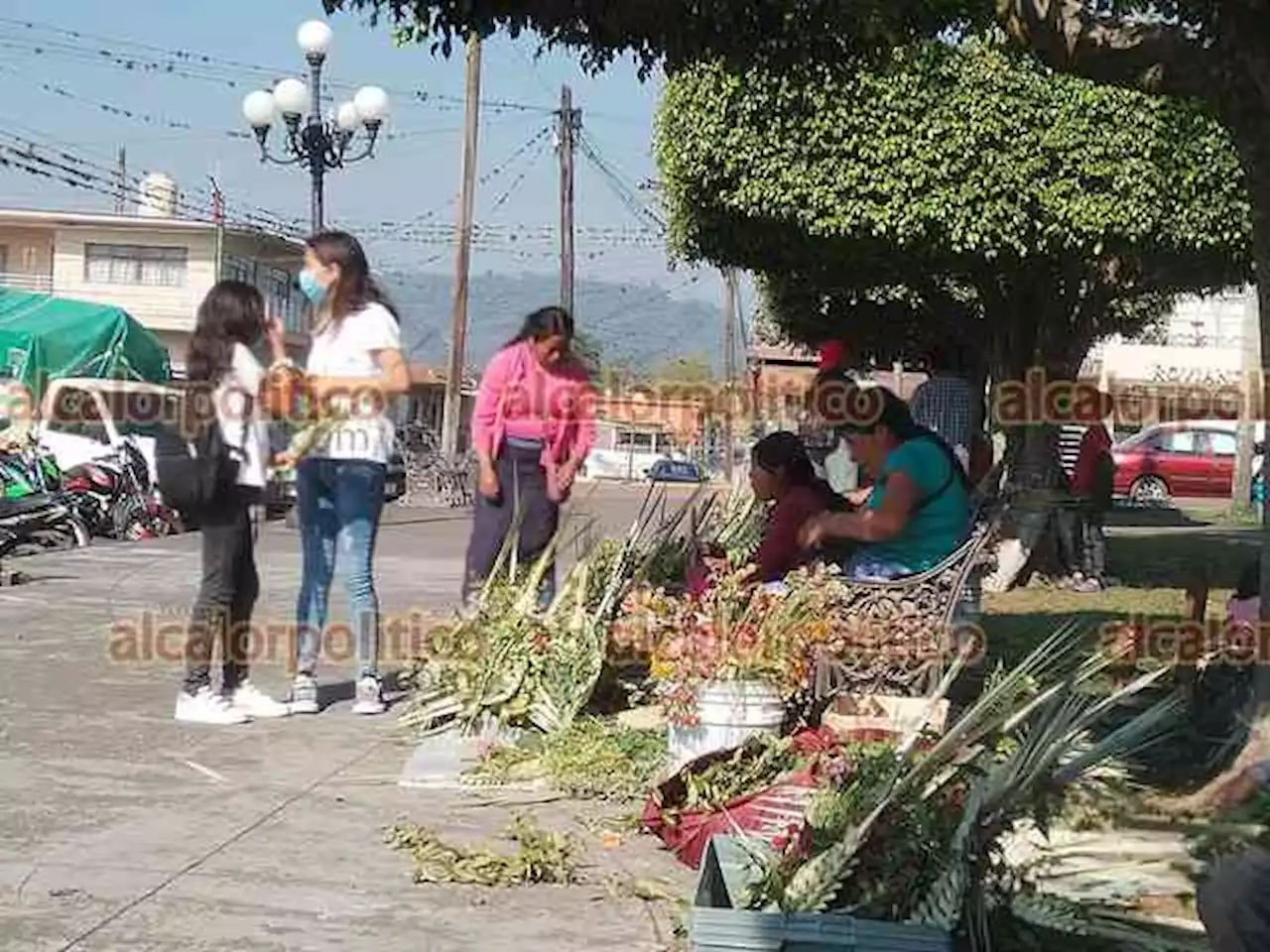 Católicos acuden a bendecir sus palmas en este Domingo de ramos, en Fortín