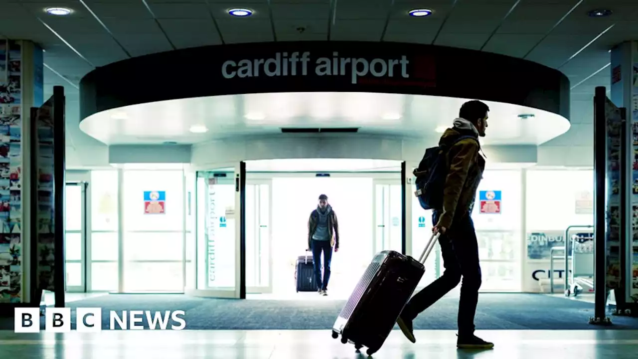 Cardiff Airport sale possible without Covid - ex-minister