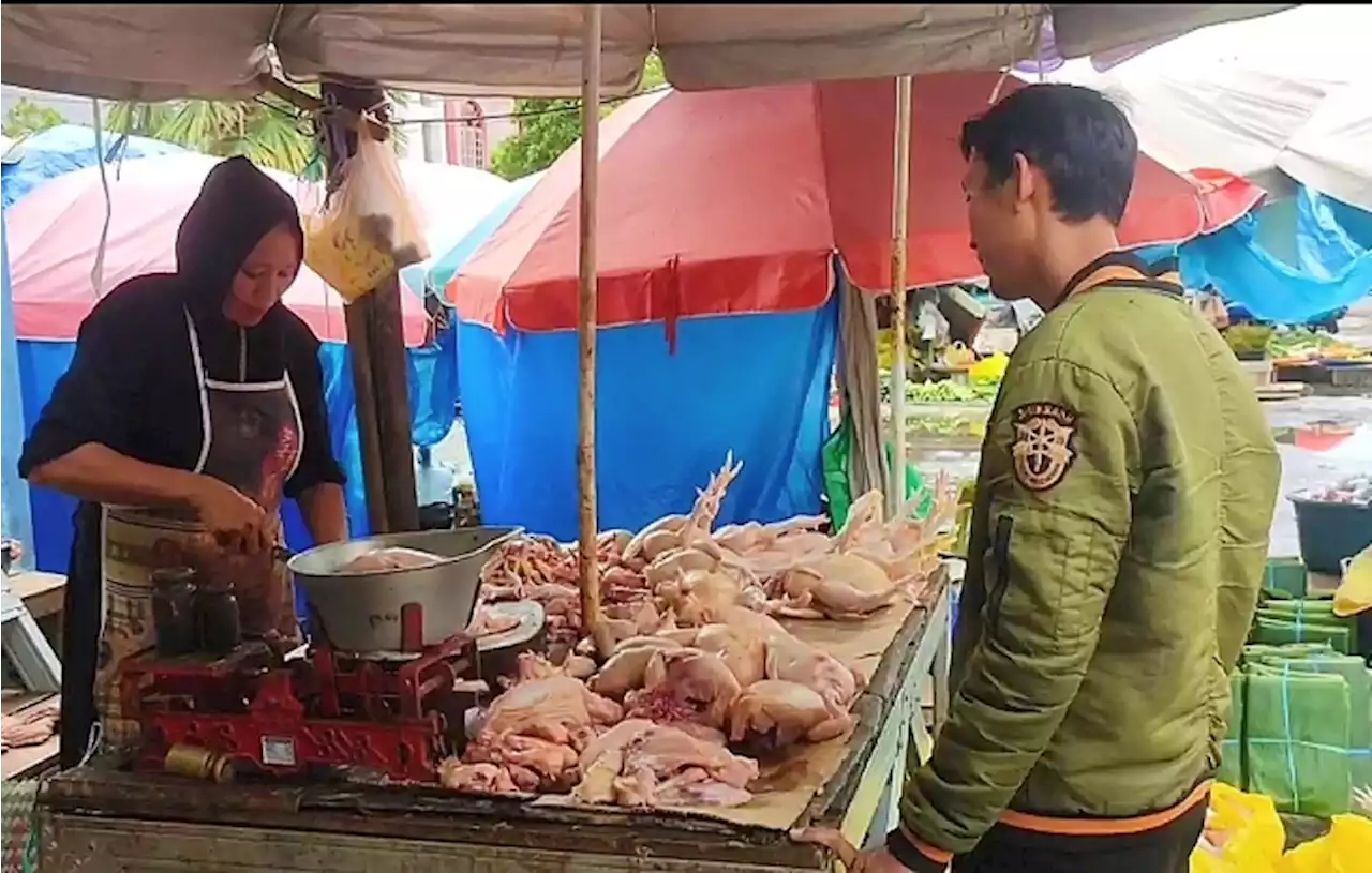 Pertengahan Ramadan, Harga Daging Ayam di Palangka Raya Turun