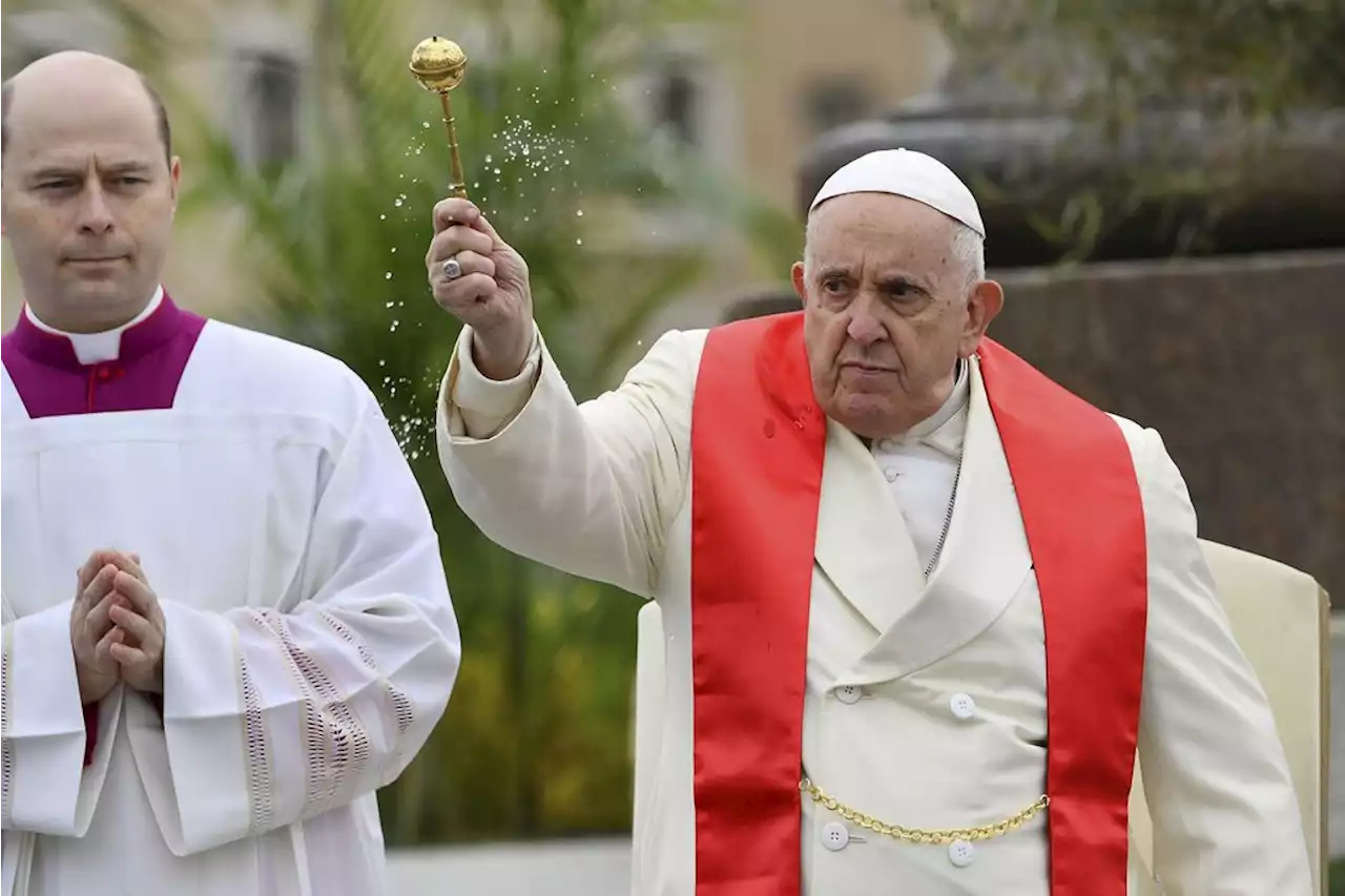 Genesener Papst feiert Palmsonntagsmesse auf dem Petersplatz