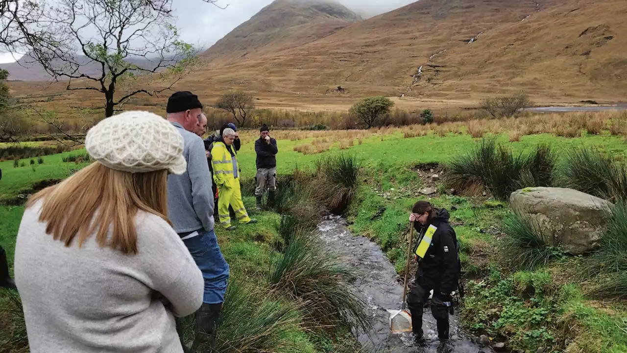 Saving freshwater mussel shows how to get farmers on board with land use changes