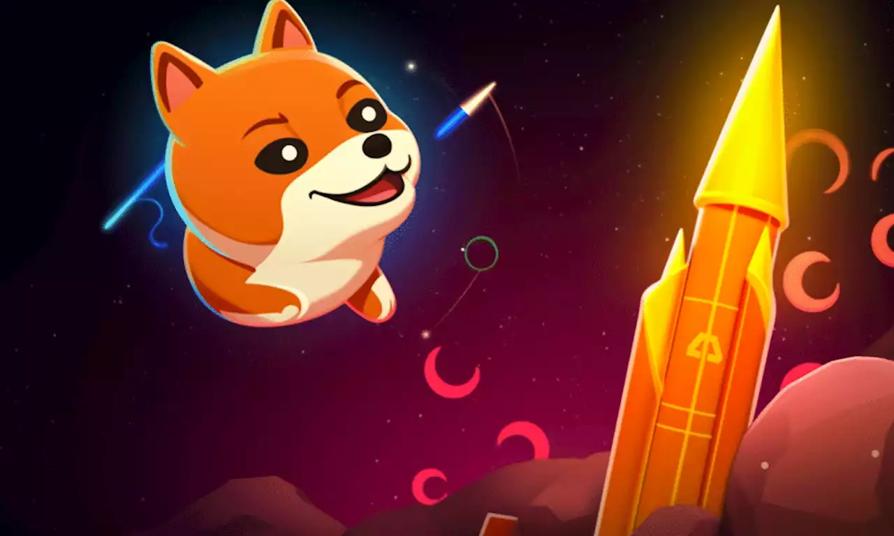SHIB witnesses 2000% surge in burn rate – what about its price