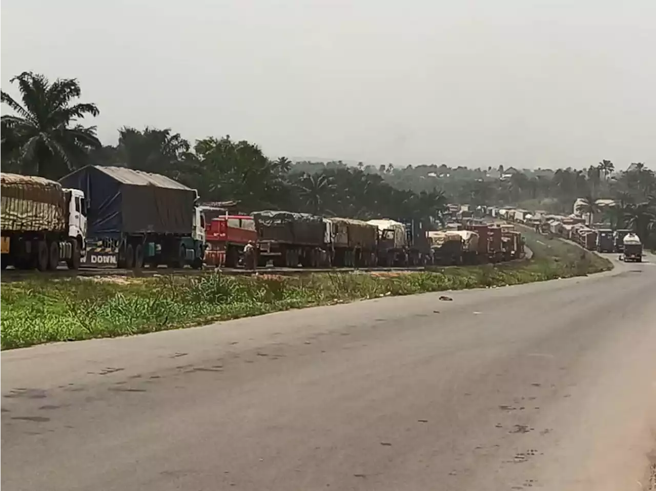 Truck drivers accuse security operative of shooting, extorting members on Enugu-PH highway