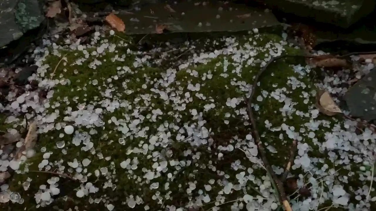 Delaware Valley severe storms dump heavy rain, hail and produce damaging winds