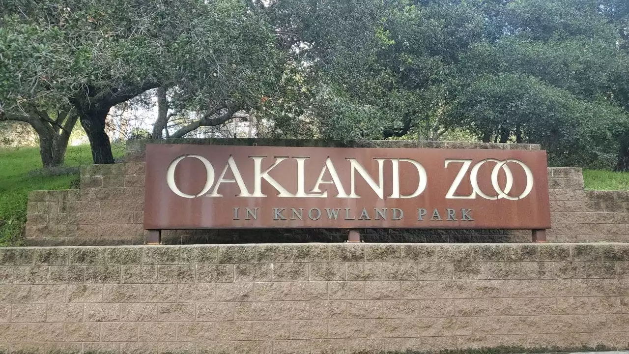 Small earthquakes reported near California's Oakland Zoo