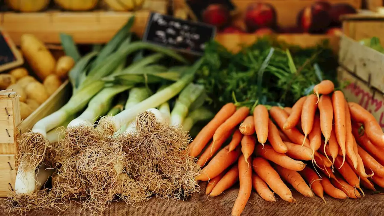 Find fresh produce and hand-crafted products at the Bellingham Farmers Market, now open