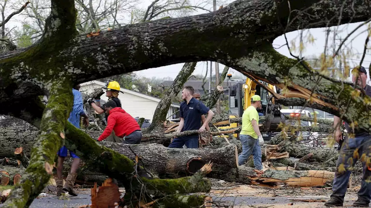 21 killed and dozens hospitalized as tornadoes, storms tear through the South and Midwest