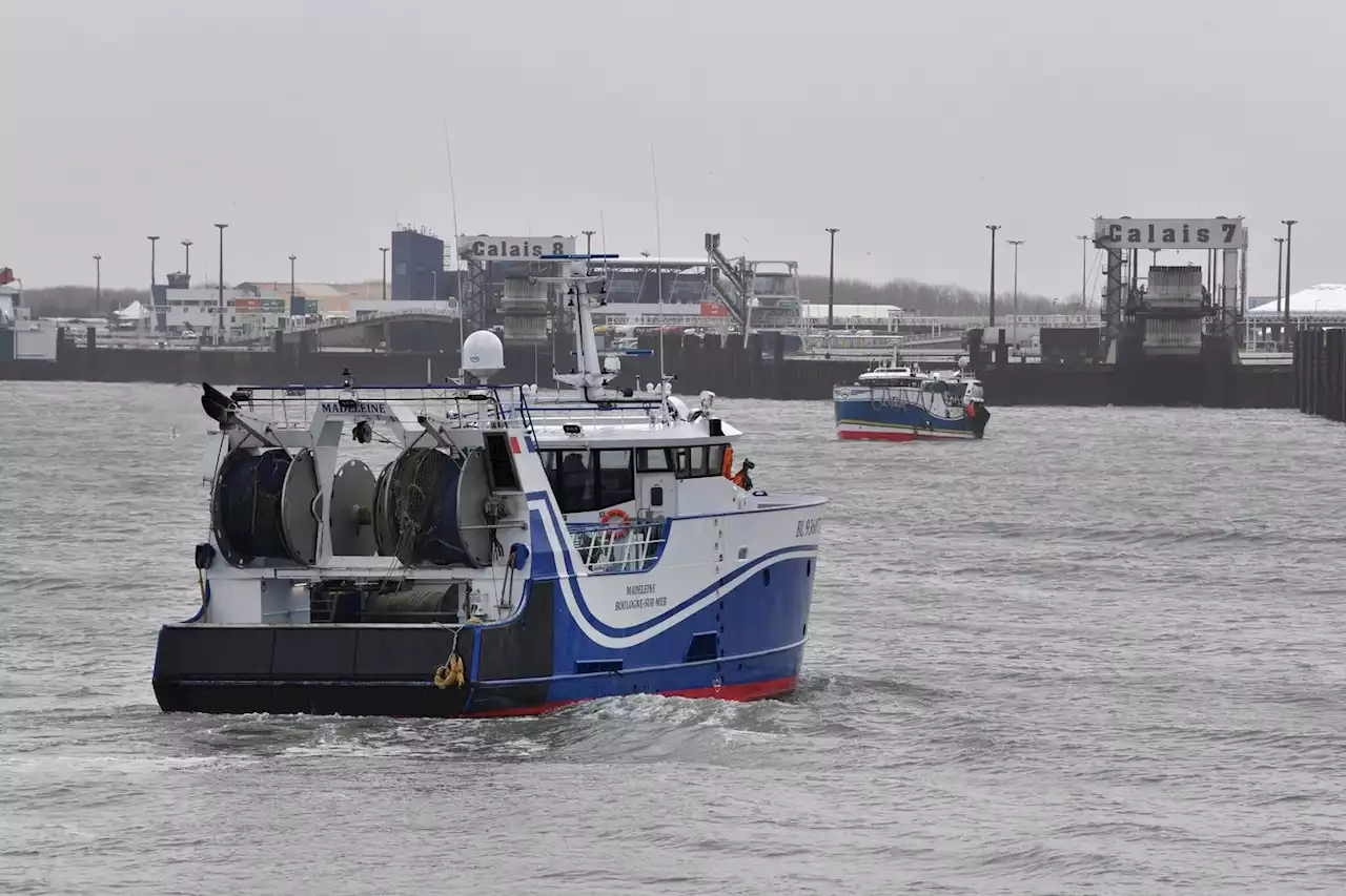 Aires marines protégées : pourquoi certains veulent interdire la pêche au chalut