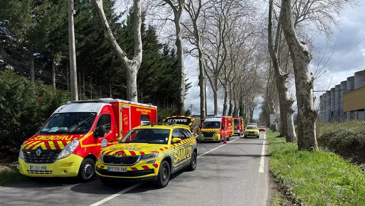 Sud de Toulouse : un véhicule percute violemment un platane, deux personnes dans un état grave