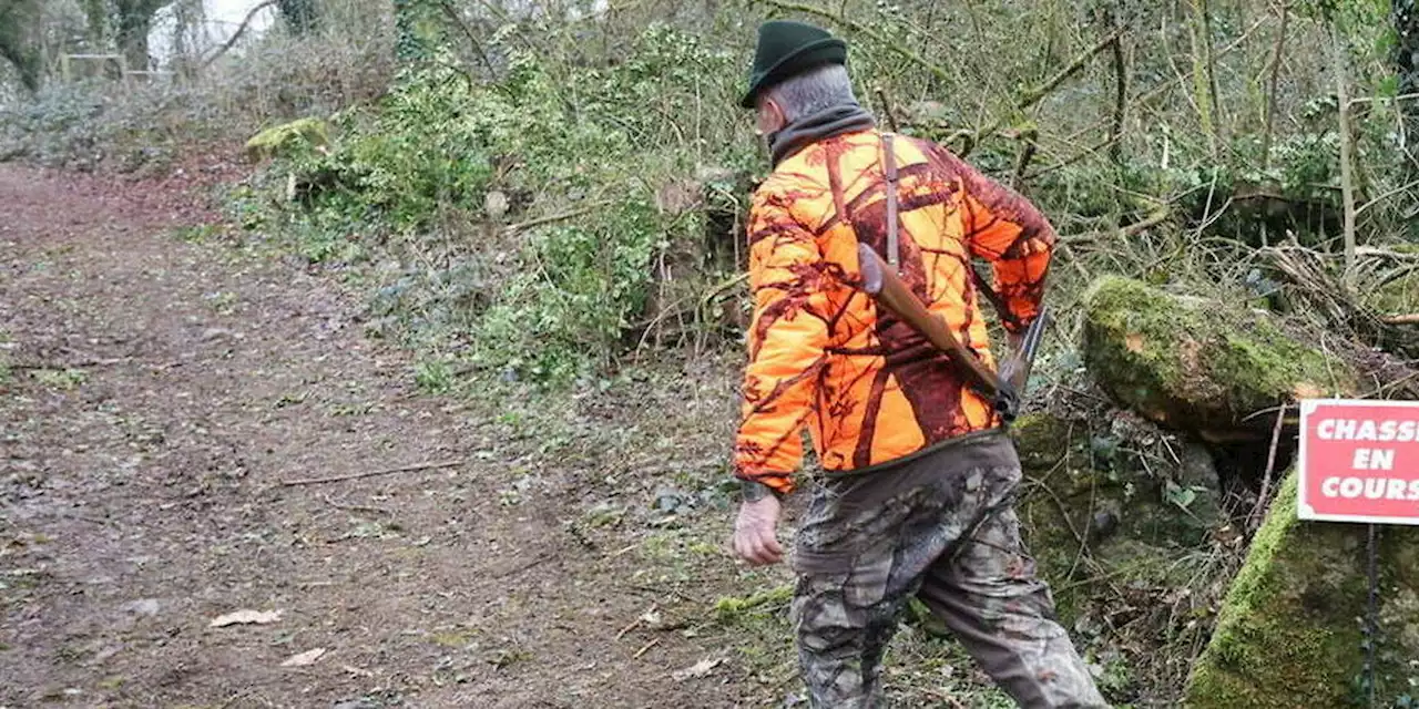 Dans les Vosges, cette commune interdit la chasse le dimanche après-midi