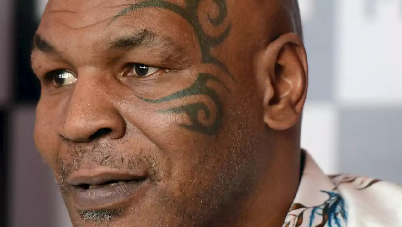 Cannabis : l'ancien boxeur Mike Tyson, reconverti dans la production de marijuana, ouvre un coffee-shop à Amsterdam