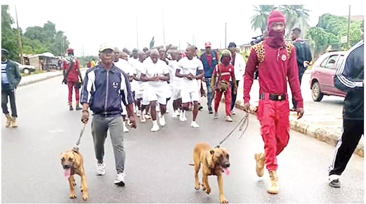 Amotekun foils robbery attack in Osun