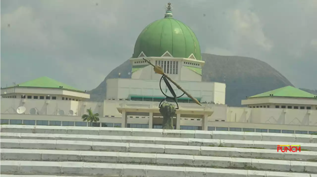 NASS bill proposes five-year jail term for firearms possession