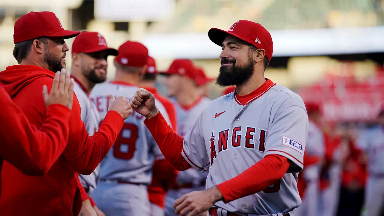 Anthony Rendon, Angels Not Commenting on Fan Run-In Amid MLB Investigation