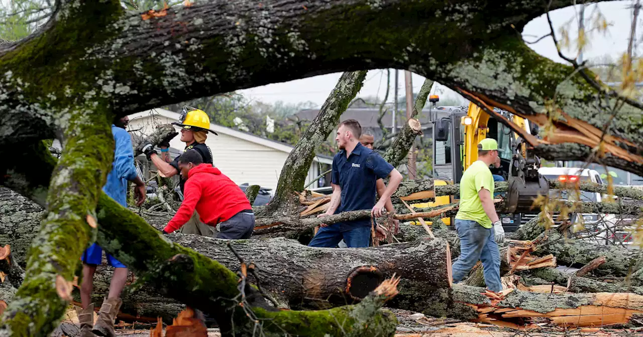 At least 25 dead as tornadoes batter the South and Midwest