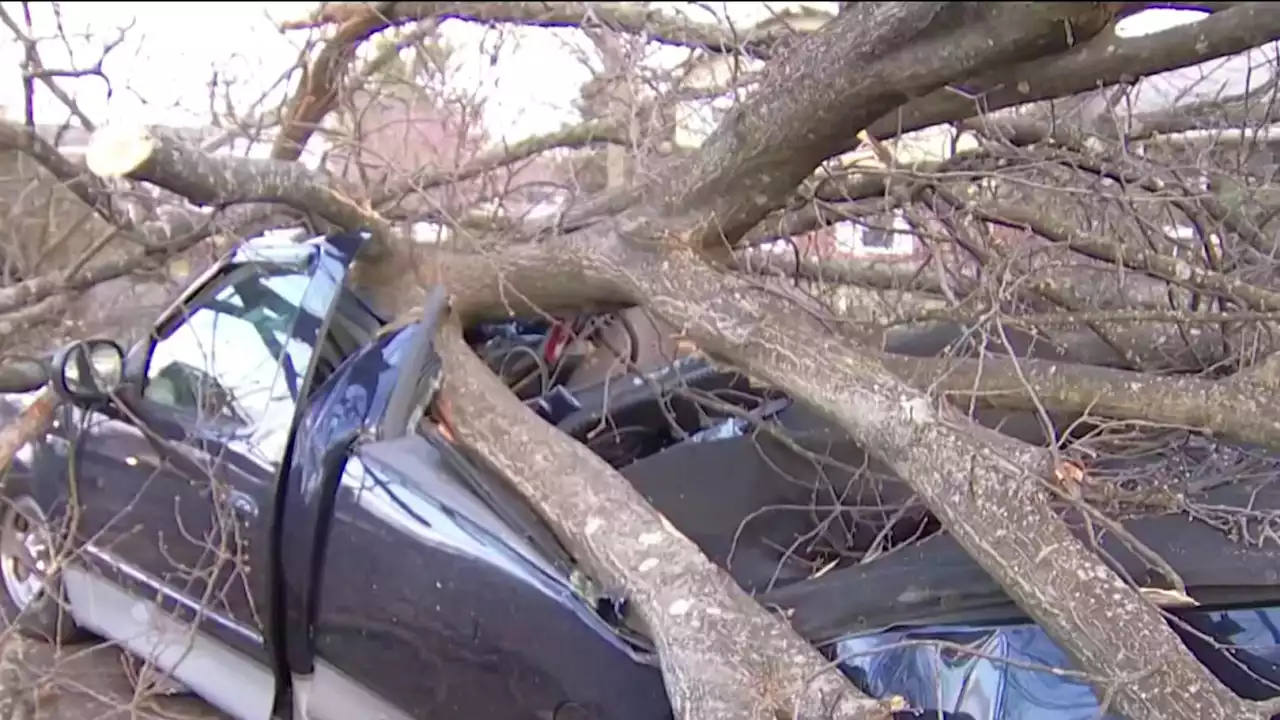 1 Dead After Tornadoes Touch Down During Severe Weather in Delaware, NJ and Pennsylvania