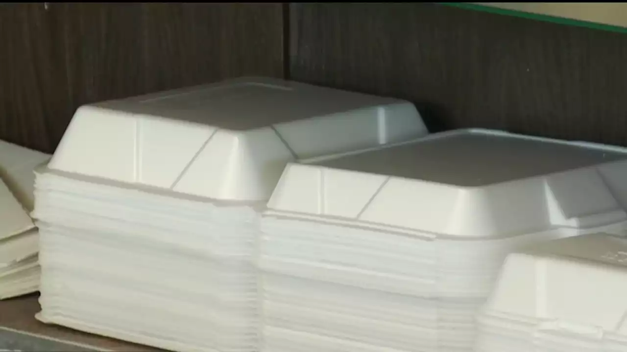 Styrofoam is Officially Banned in the City of San Diego