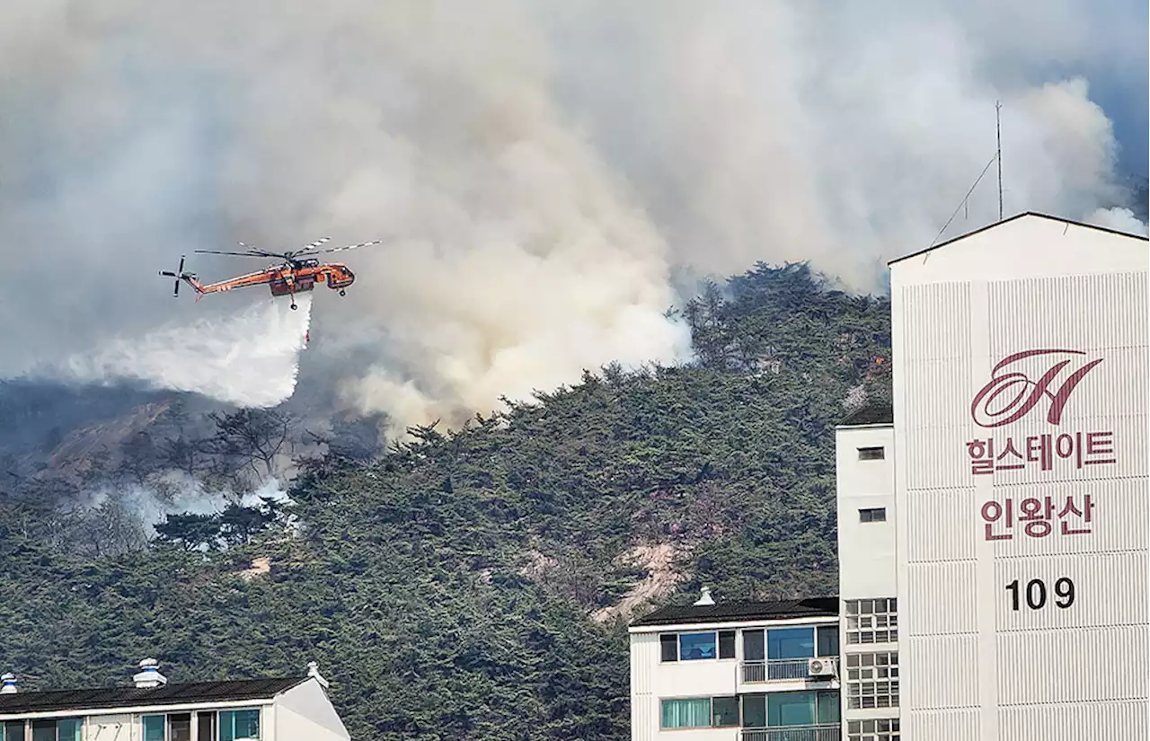 인왕산 산불로 주민들 대피...축구장 20개 이상 면적 불에 타