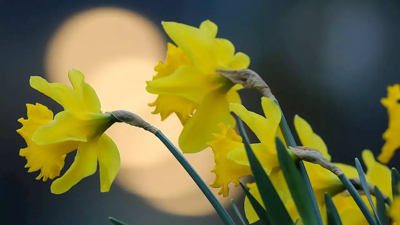 Sonne, Regen und kühle Temperaturen bestimmen Karwoche