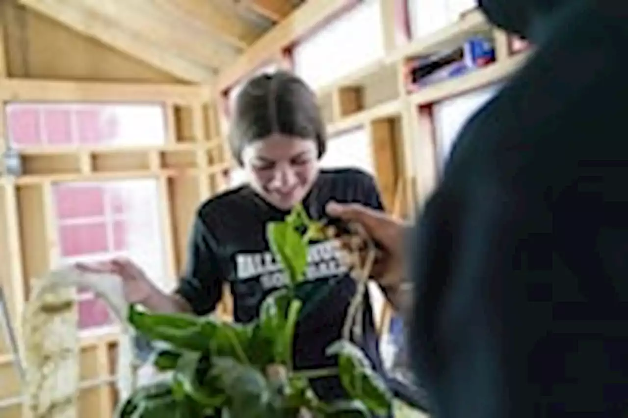 Fairfax students built an aquaponic farm, and the produce is donated