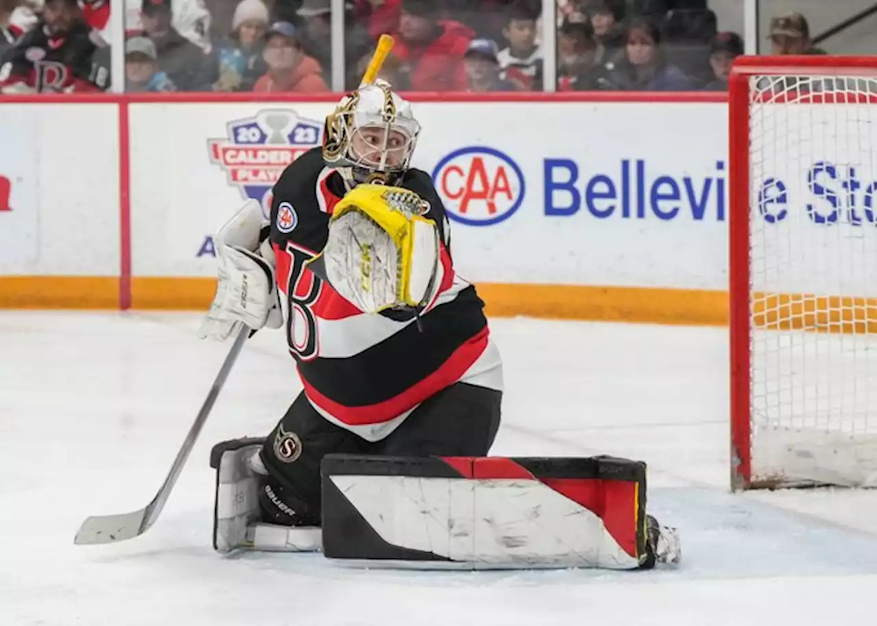 New goaltender outstanding in Sens win over Marlies