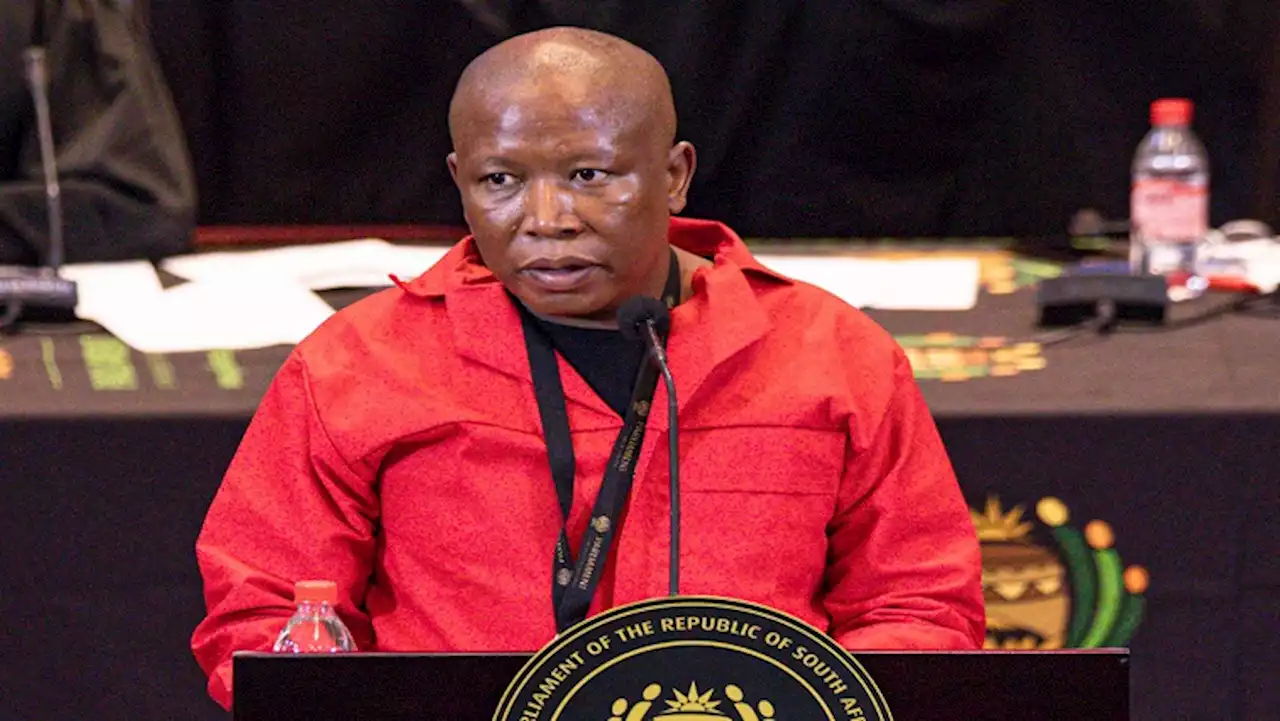 Malema unfazed by the DA declaring the EFF public enemy number one - SABC News