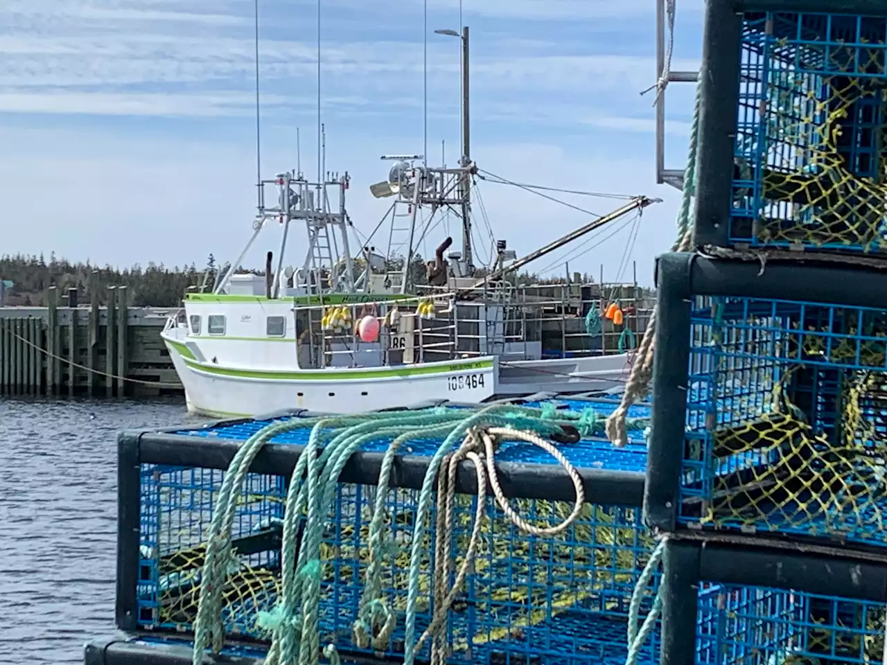 ‘A lot of heavy hitters there:’ Southwest N.S. well represented at Boston seafood show as spring lobster fishery ramps up | SaltWire