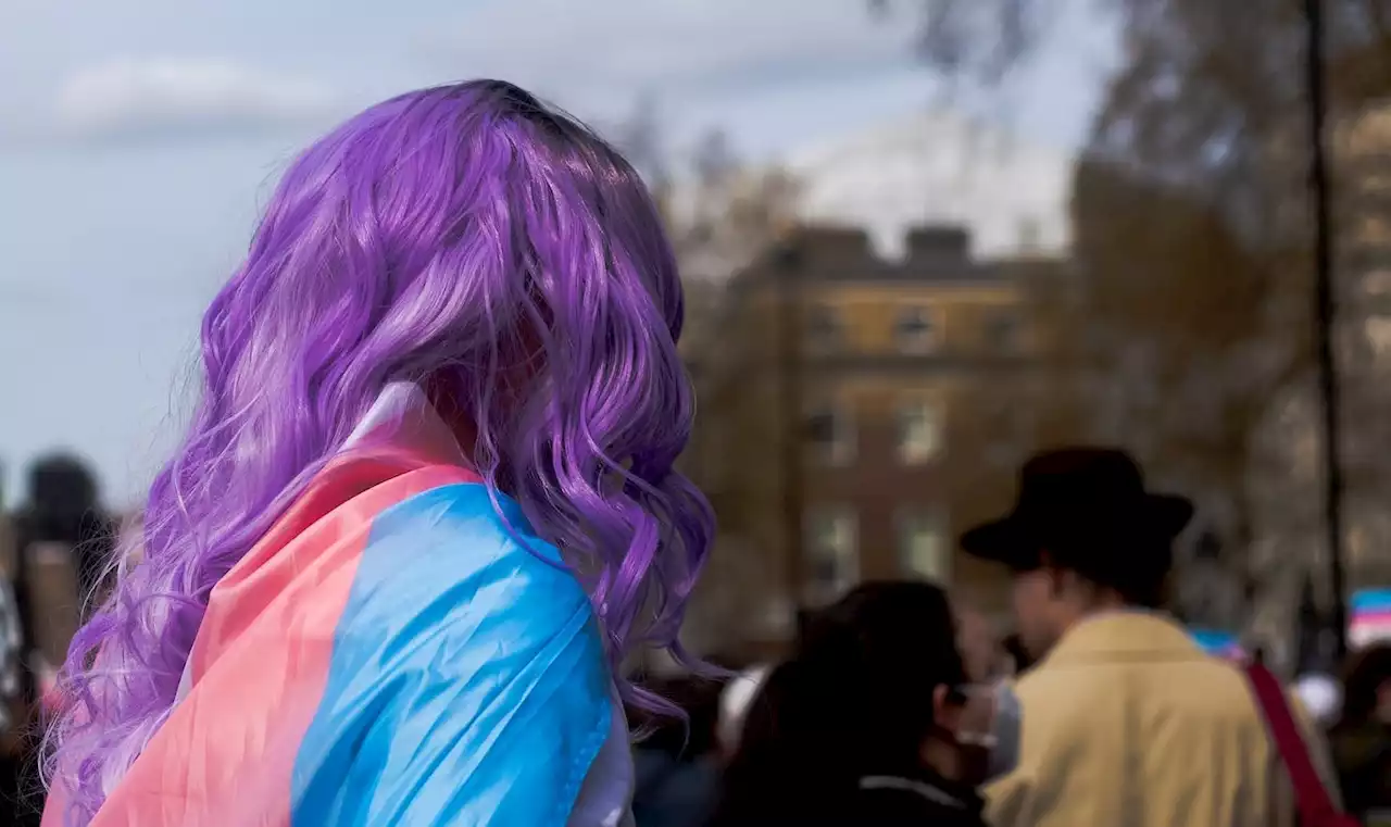 JOCELYNE LLOYD: Stand up for trans rights in the streets and behind closed doors | SaltWire