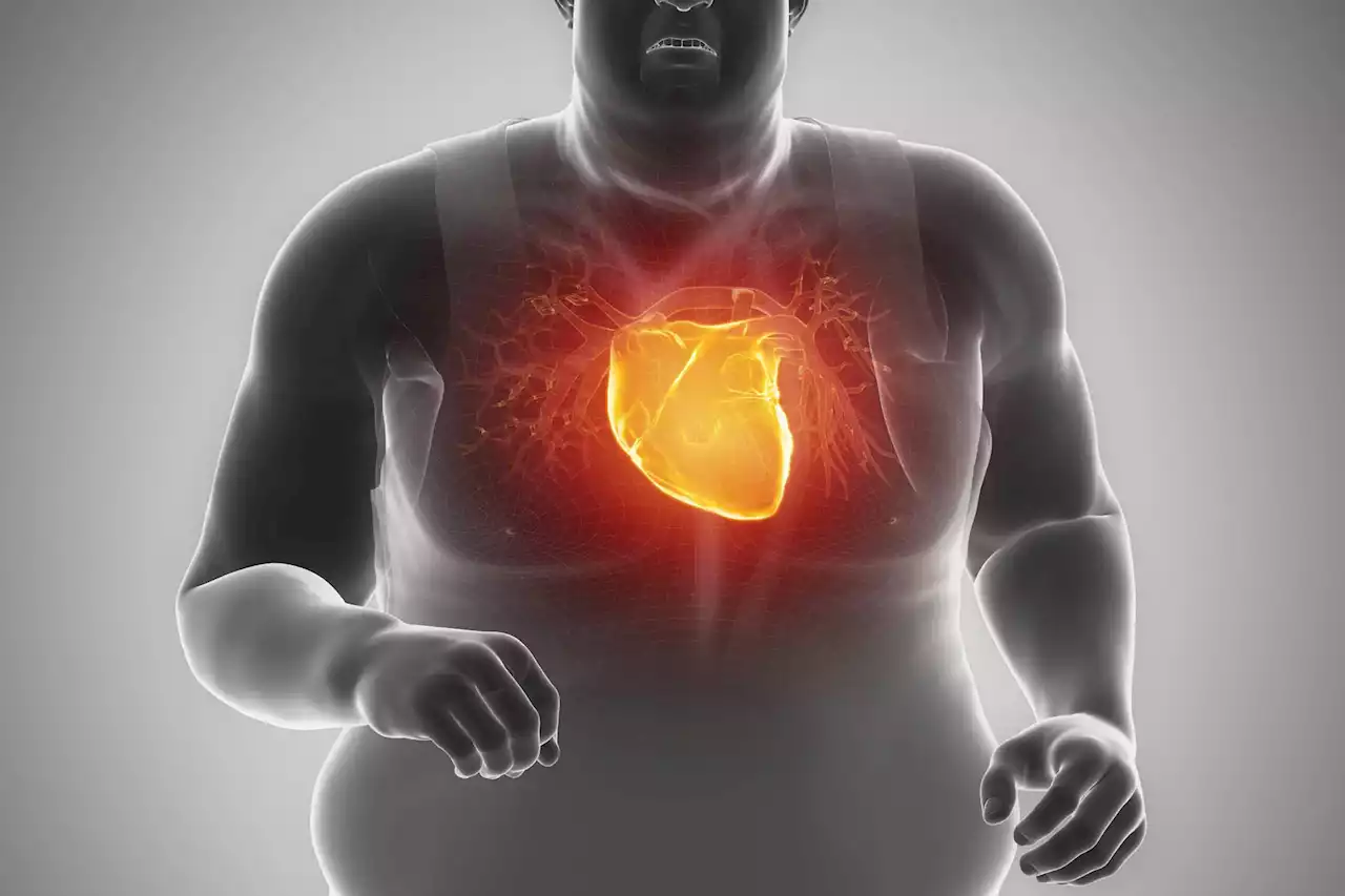 Long-Lasting Impact: Losing Weight May Benefit Your Heart, Even if Some Weight Is Regained