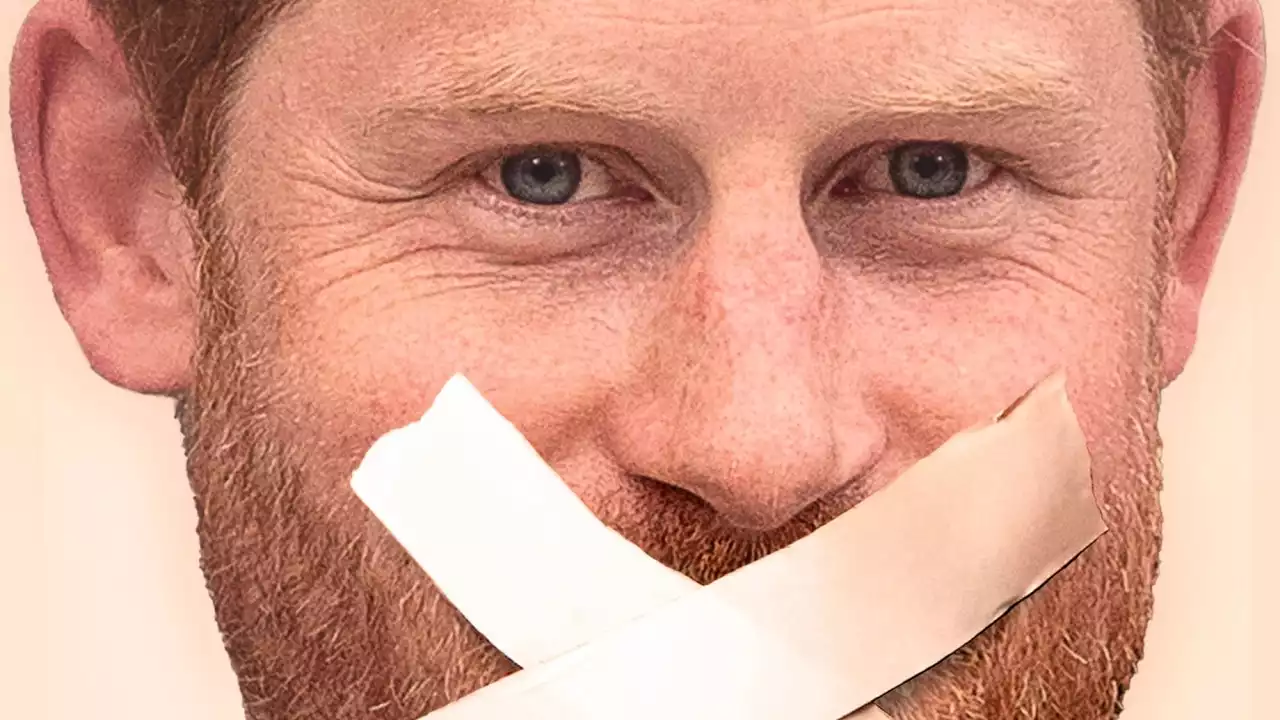 ‘He’s basically a bit stupid’: Prince Harry mocked in new parody book