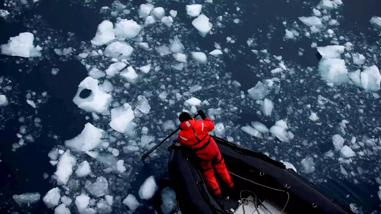 ‘The time to act is now’: Calls for net-zero emissions as ocean around Antarctica heads for ‘collapse’