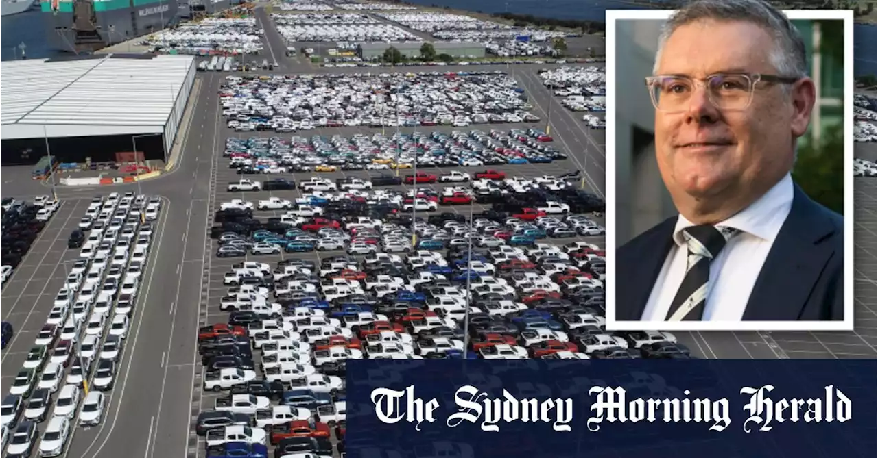 Labor tells car makers not to import pest-ridden cars amid biosecurity backlog