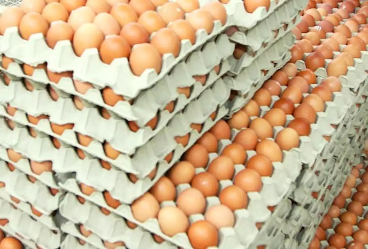 Sufficient supply of eggs for Ramadan, Aidilfitri, says Fama