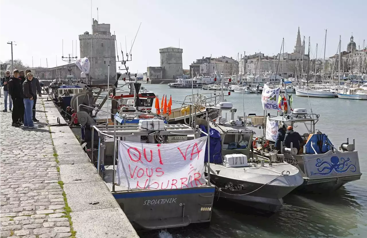 Europe : aucune interdiction de la pêche de fond ne sera imposée dans les aires marines protégées