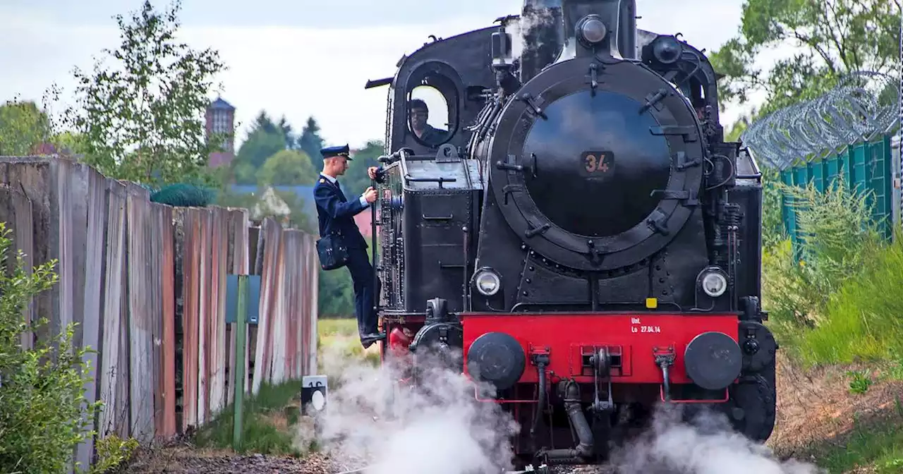 Ingenieure sollen Bahnstrecke untersuchen: „Losheimer Museumsbahn so schnell wie möglich auf die Gleise bringen“