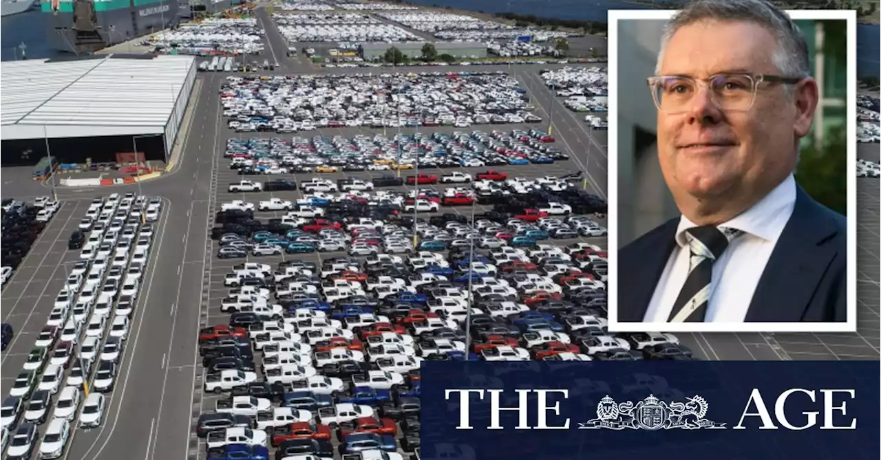 Labor tells car makers not to import pest-ridden cars amid biosecurity backlog