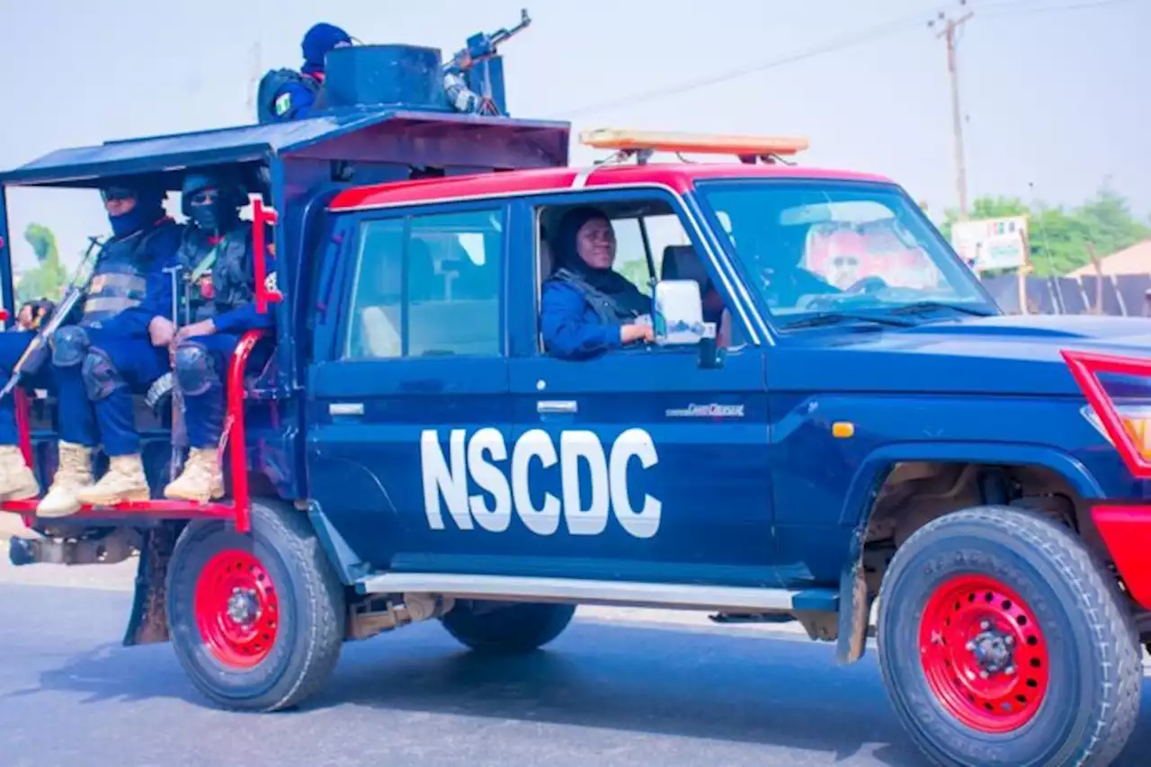 Group commends NSCDC, says officers were professional during elections | TheCable