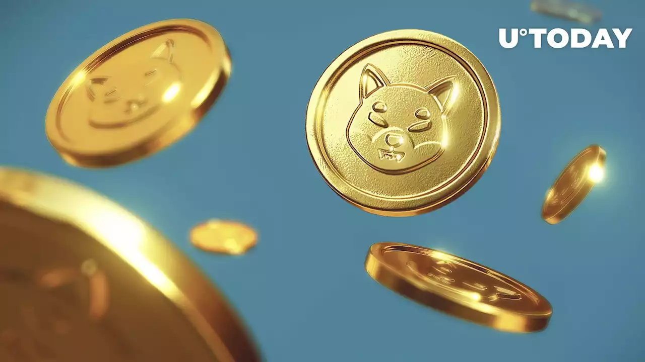 Elon Musk Seeks Dismissal of Dogecoin (DOGE) Pyramid Scheme Accusations