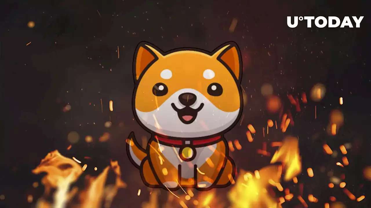 Over Half Quadrillion Baby Doge Coin (BabyDoge) Burned in Massive Burn Moves: Details