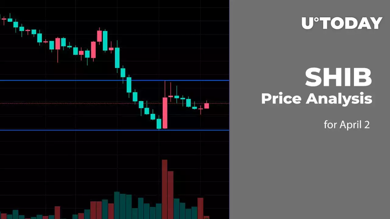 SHIB Price Analysis for April 2