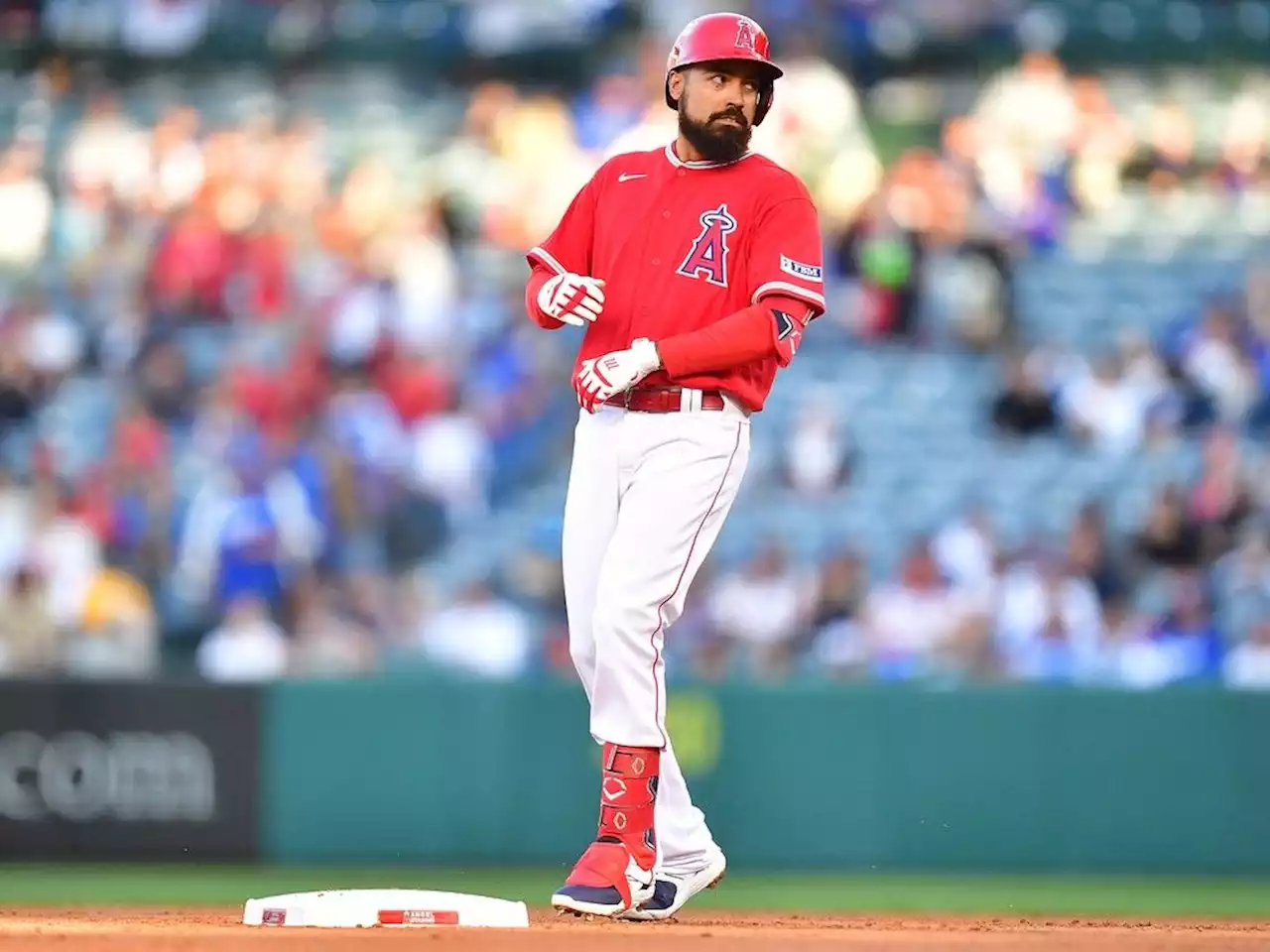 MLB investigating Angels 3B Anthony Rendon over fan incident