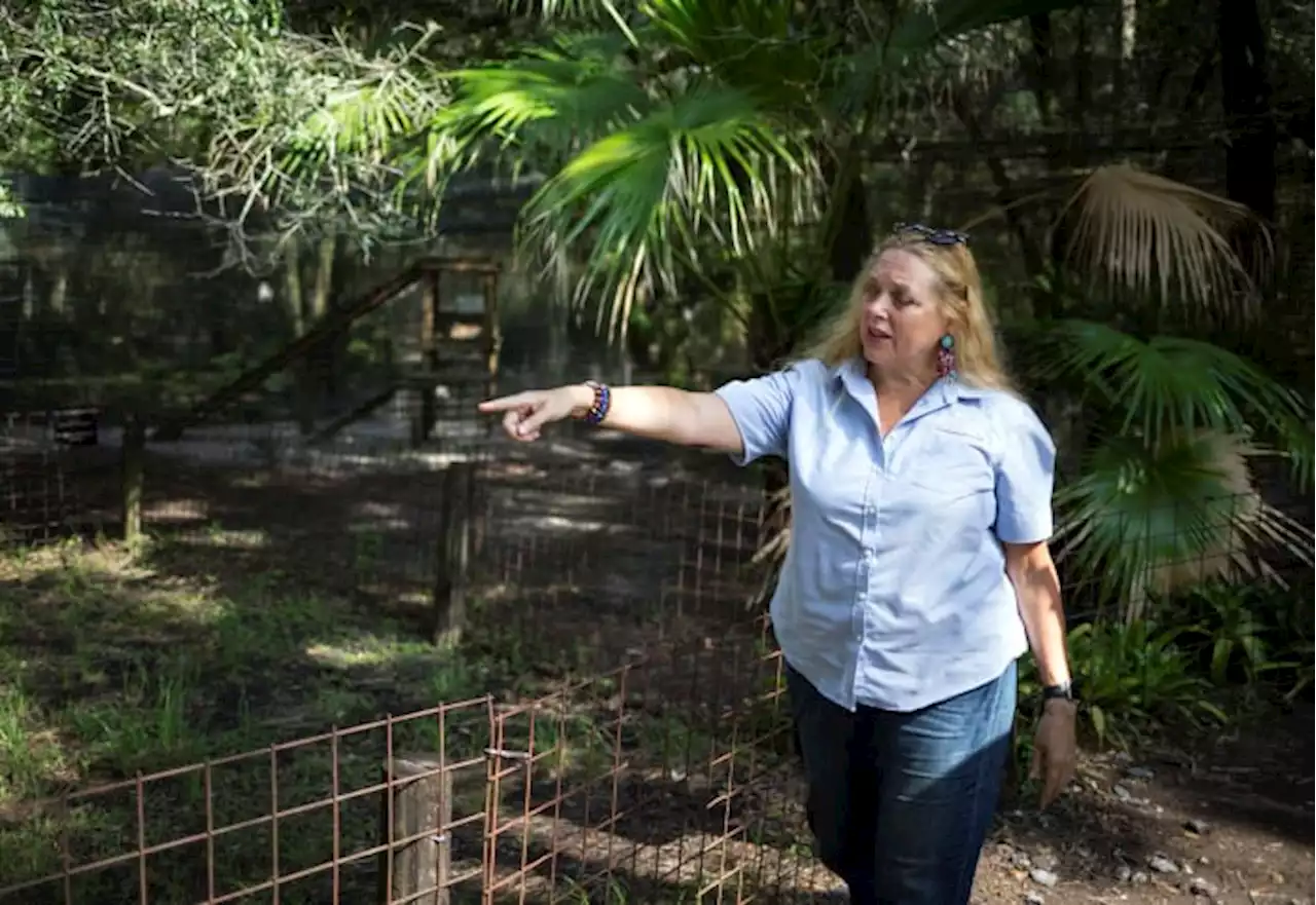 Owners of big cat refuge from ‘Tiger King’ selling property