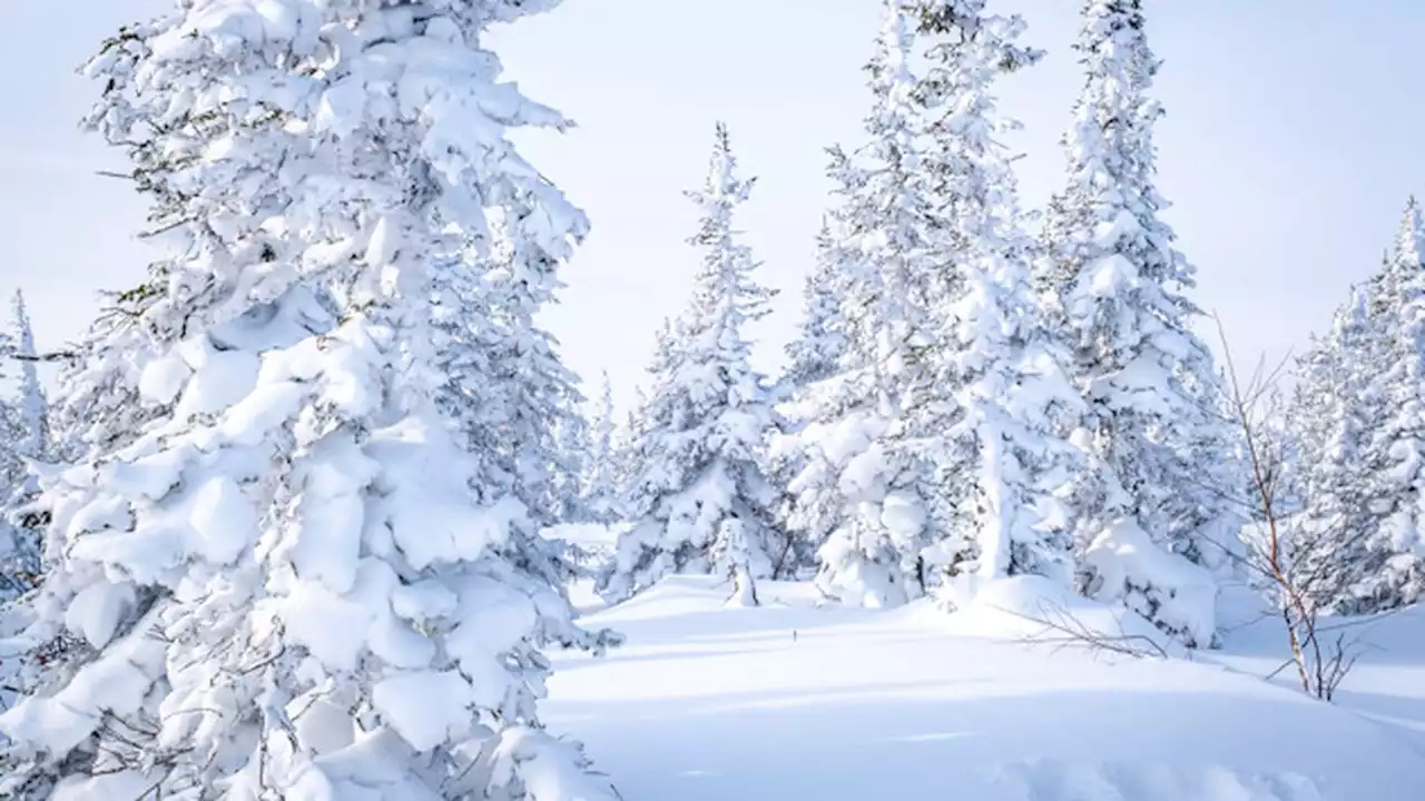 Record snowfall buries California mountain town