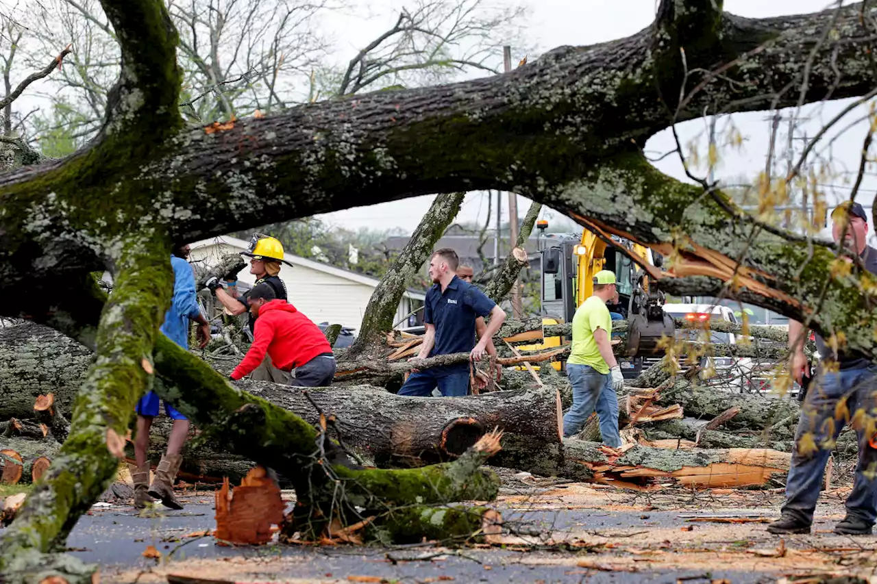 At least 25 dead as tornadoes batter the South and Midwest