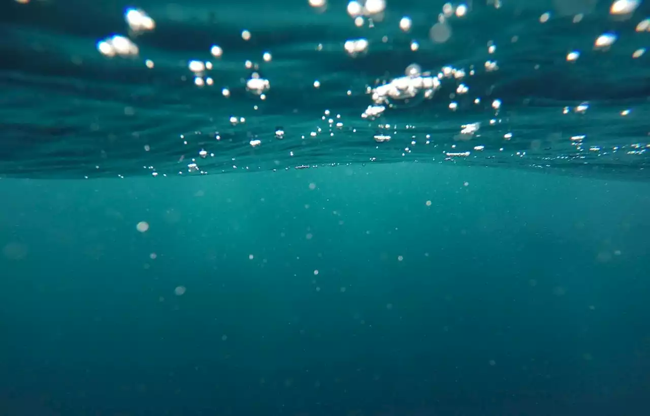 Des virus étranges et inconnus découverts dans les mers et les océans